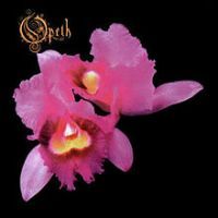 Album Orchid