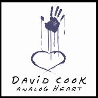 Album Analog Heart